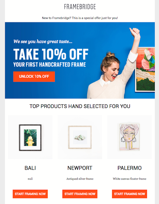 Example of Framebridge retargeting email.