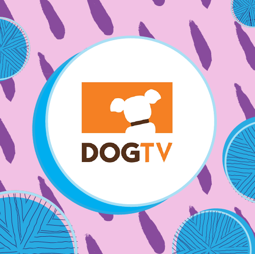 DOGTV