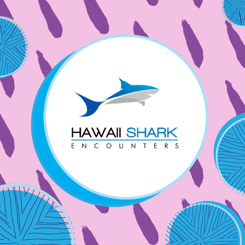 Hawaii Shark Encounters