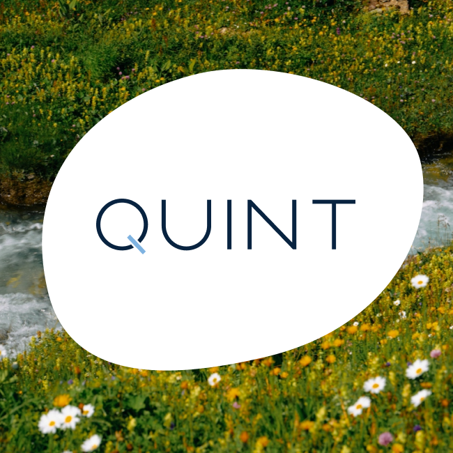 Quint